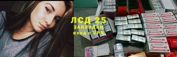 сатива Медвежьегорск