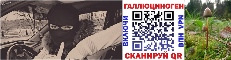купить наркотик  Чадан  Псилоцибиновые грибы ЛСД 